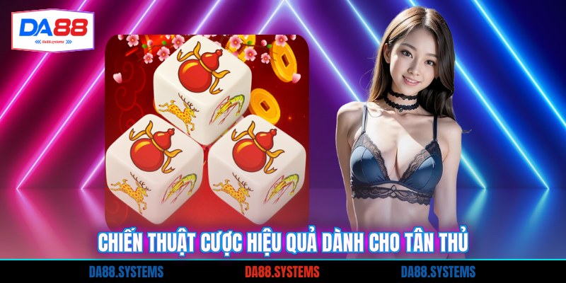 Chiến thuật cược hiệu quả dành cho tân thủ