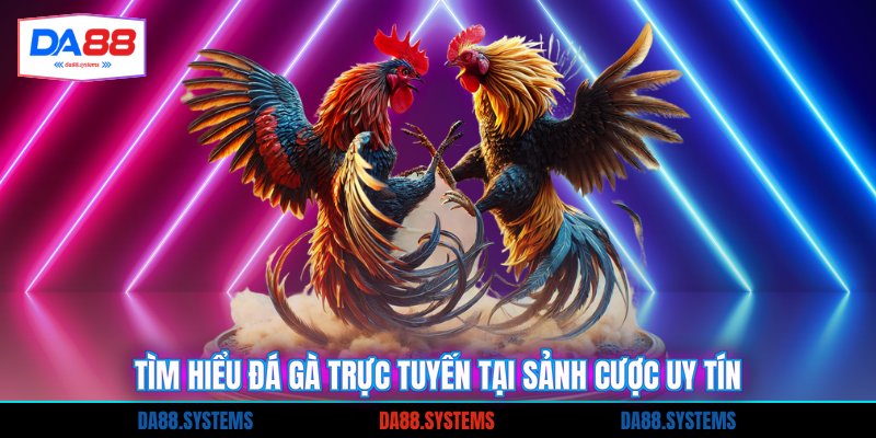 Tìm hiểu đá gà trực tuyến tại sảnh cược uy tín