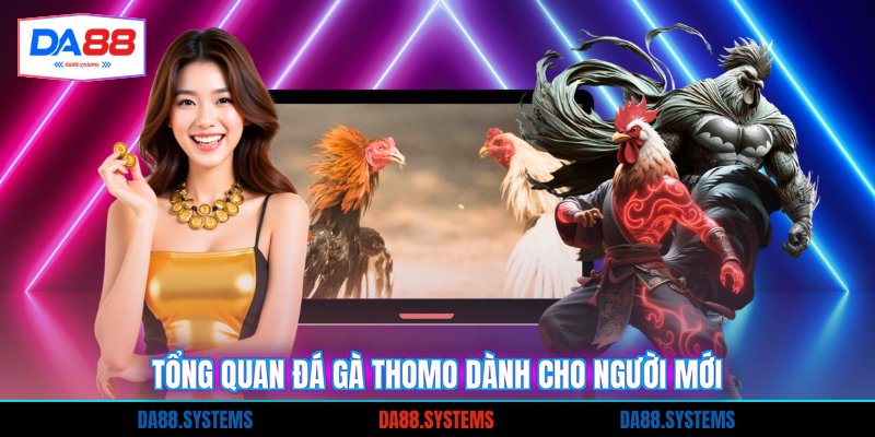 Tổng quan đá gà Thomo dành cho người mới